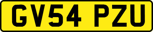 GV54PZU