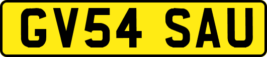 GV54SAU