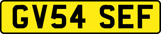 GV54SEF