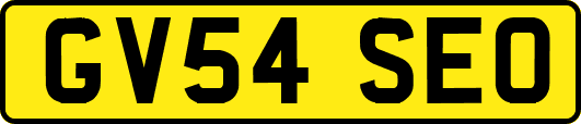 GV54SEO