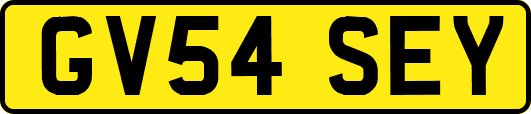 GV54SEY