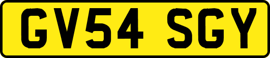 GV54SGY