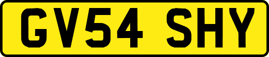 GV54SHY