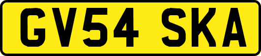 GV54SKA