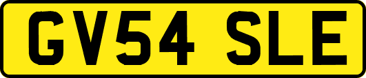 GV54SLE