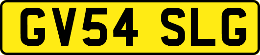 GV54SLG