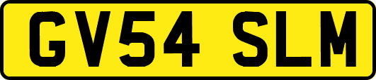 GV54SLM