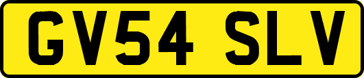 GV54SLV