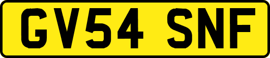 GV54SNF