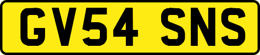 GV54SNS