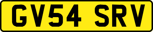 GV54SRV