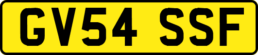 GV54SSF