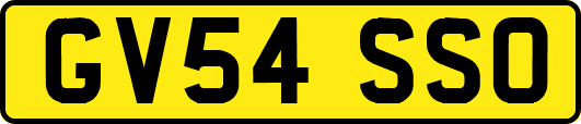 GV54SSO