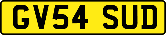 GV54SUD