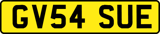 GV54SUE