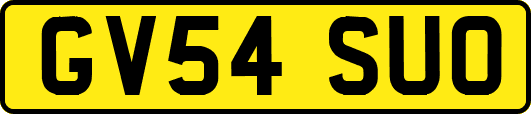 GV54SUO