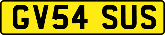 GV54SUS