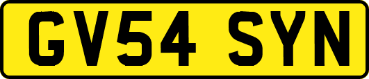 GV54SYN