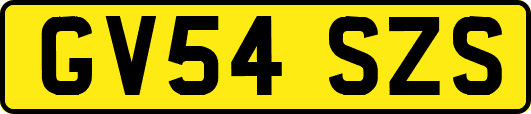 GV54SZS