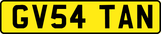 GV54TAN