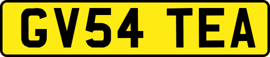 GV54TEA