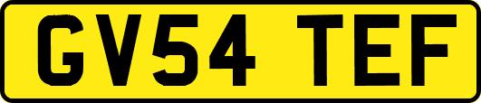 GV54TEF