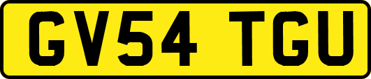 GV54TGU