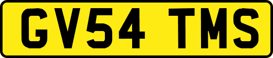 GV54TMS