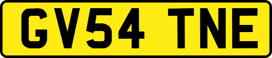 GV54TNE