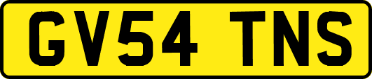 GV54TNS
