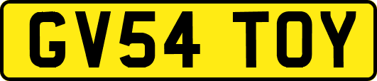 GV54TOY