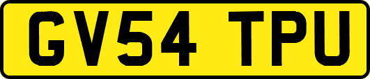 GV54TPU
