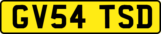 GV54TSD