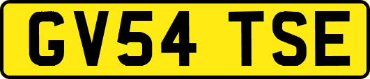 GV54TSE