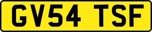 GV54TSF
