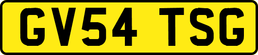GV54TSG