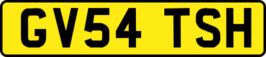 GV54TSH