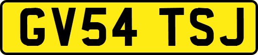 GV54TSJ