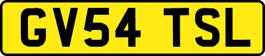 GV54TSL