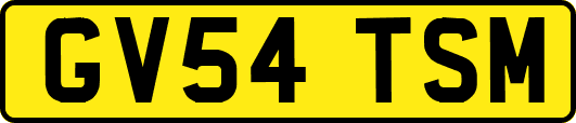 GV54TSM