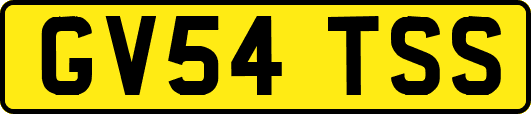 GV54TSS