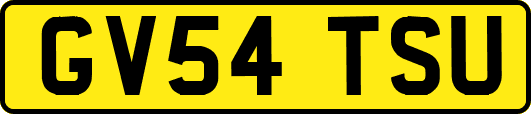 GV54TSU