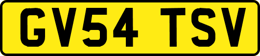 GV54TSV