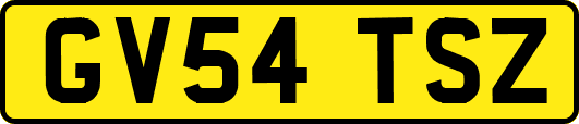 GV54TSZ