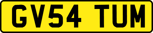 GV54TUM