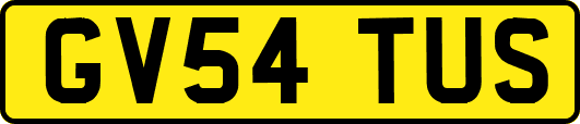 GV54TUS