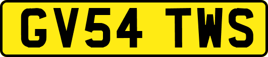 GV54TWS