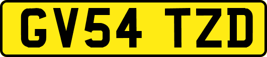 GV54TZD