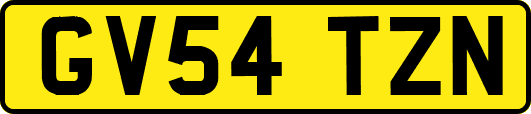 GV54TZN