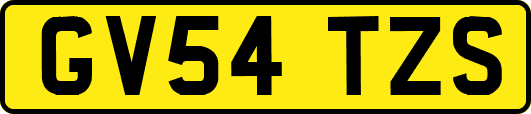 GV54TZS